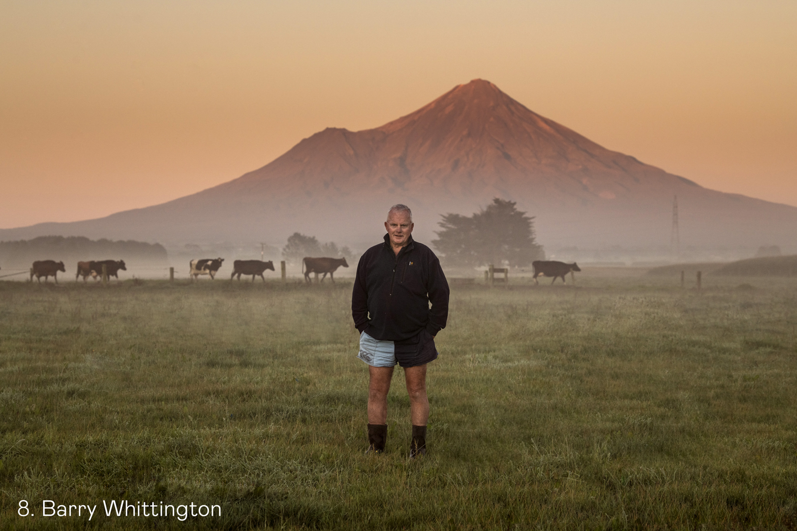 White Wolf Photo Gallery Image