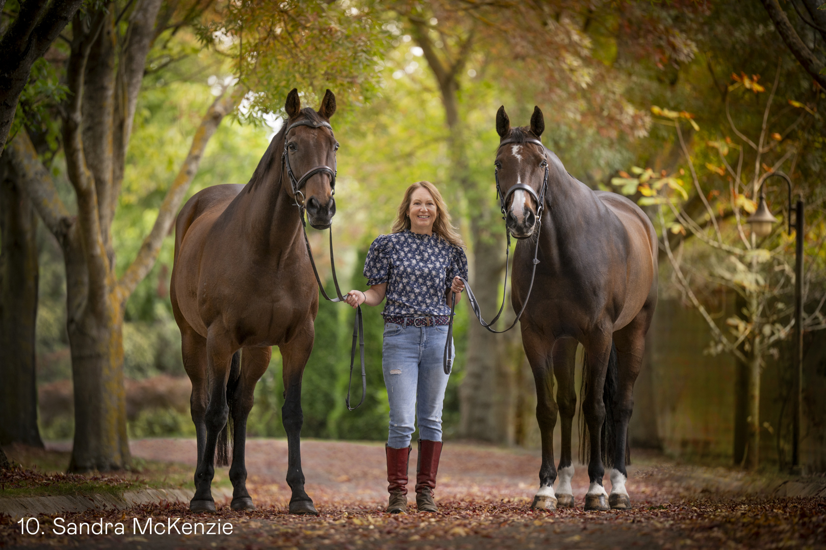 White Wolf Photo Gallery Image