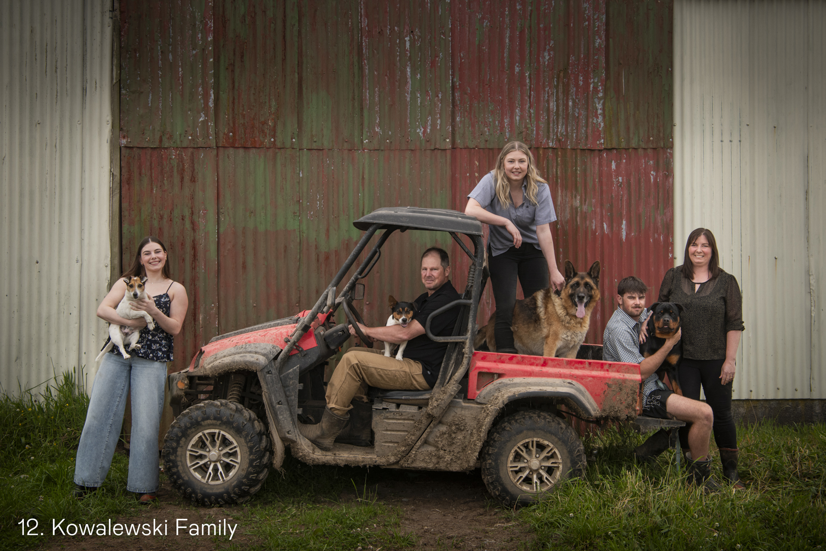 White Wolf Photo Gallery Image