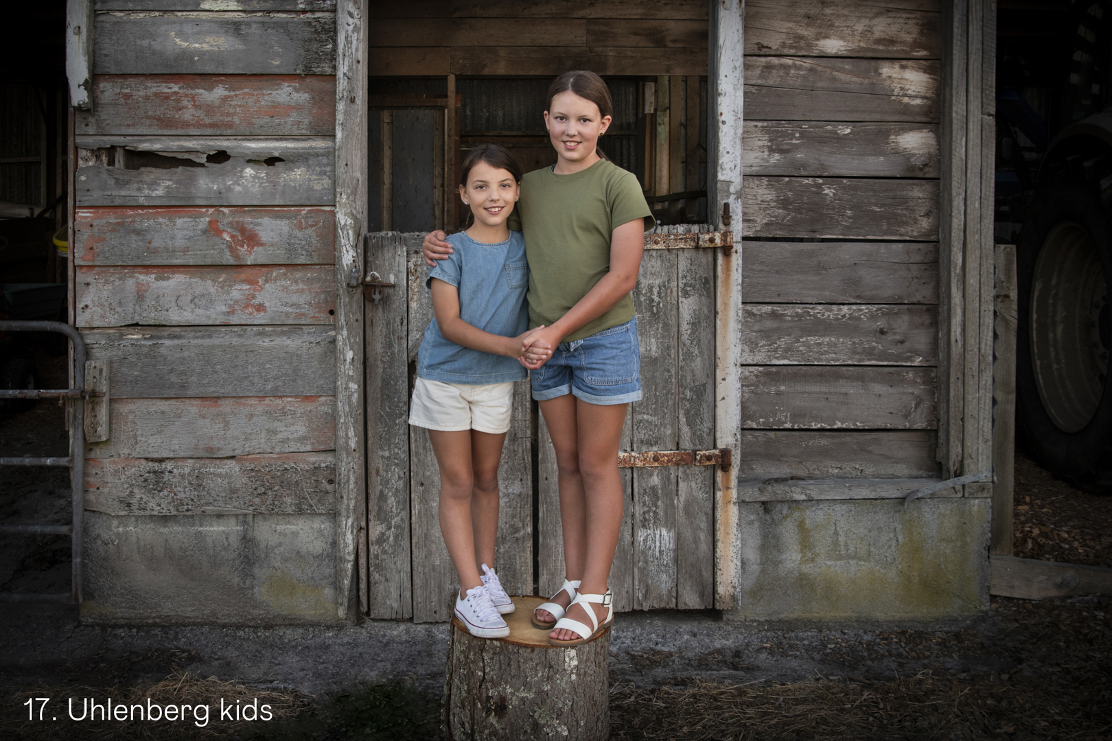 White Wolf Photo Gallery Image