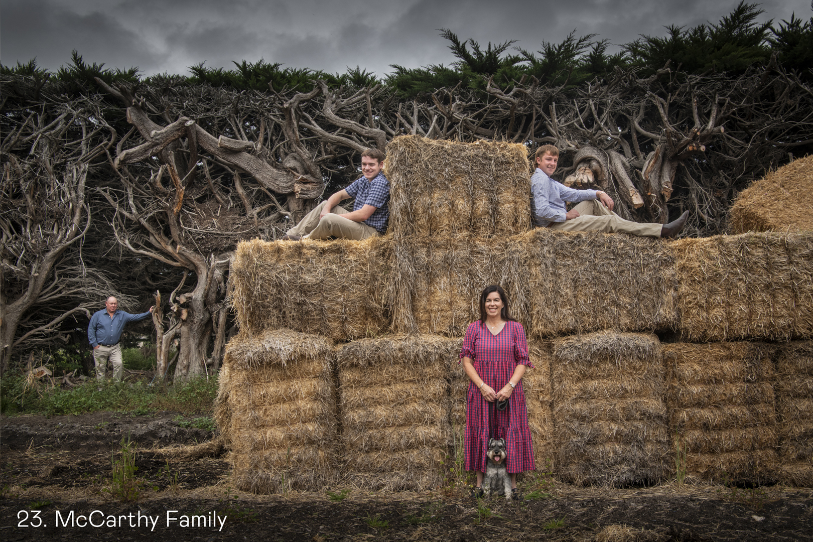 White Wolf Photo Gallery Image