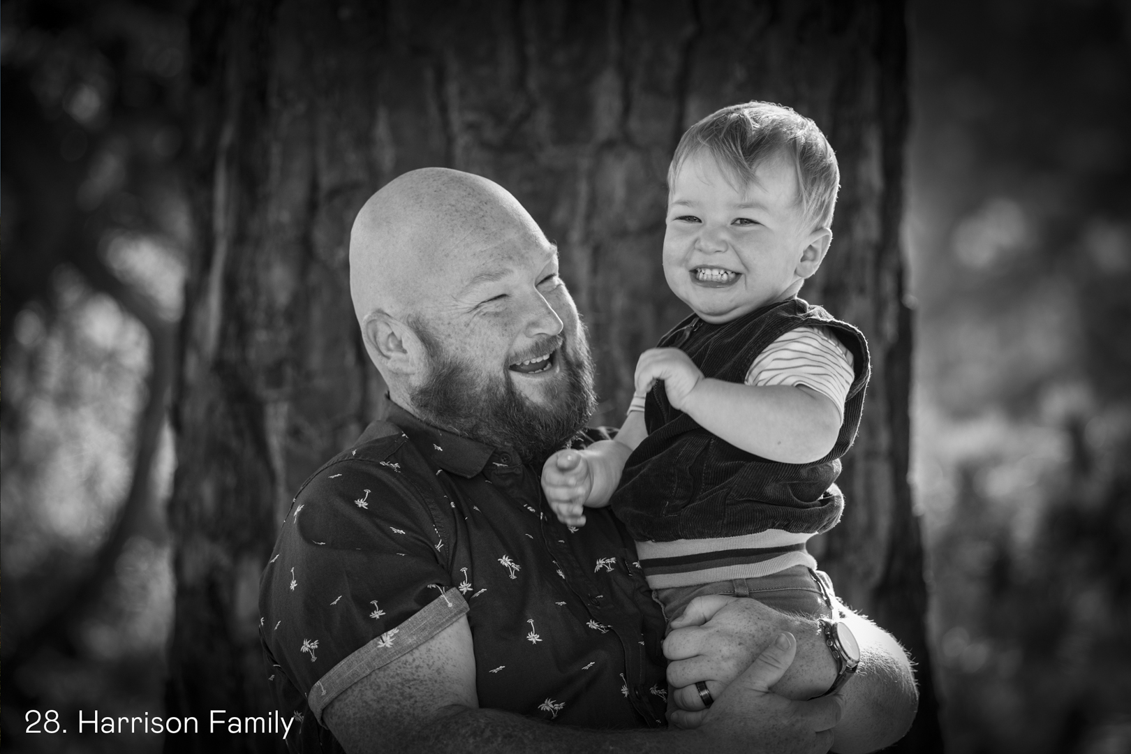 White Wolf Photo Gallery Image