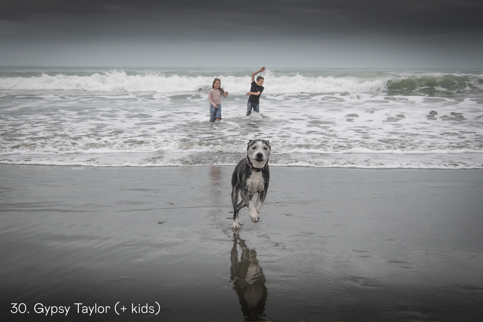 White Wolf Photo Gallery Image