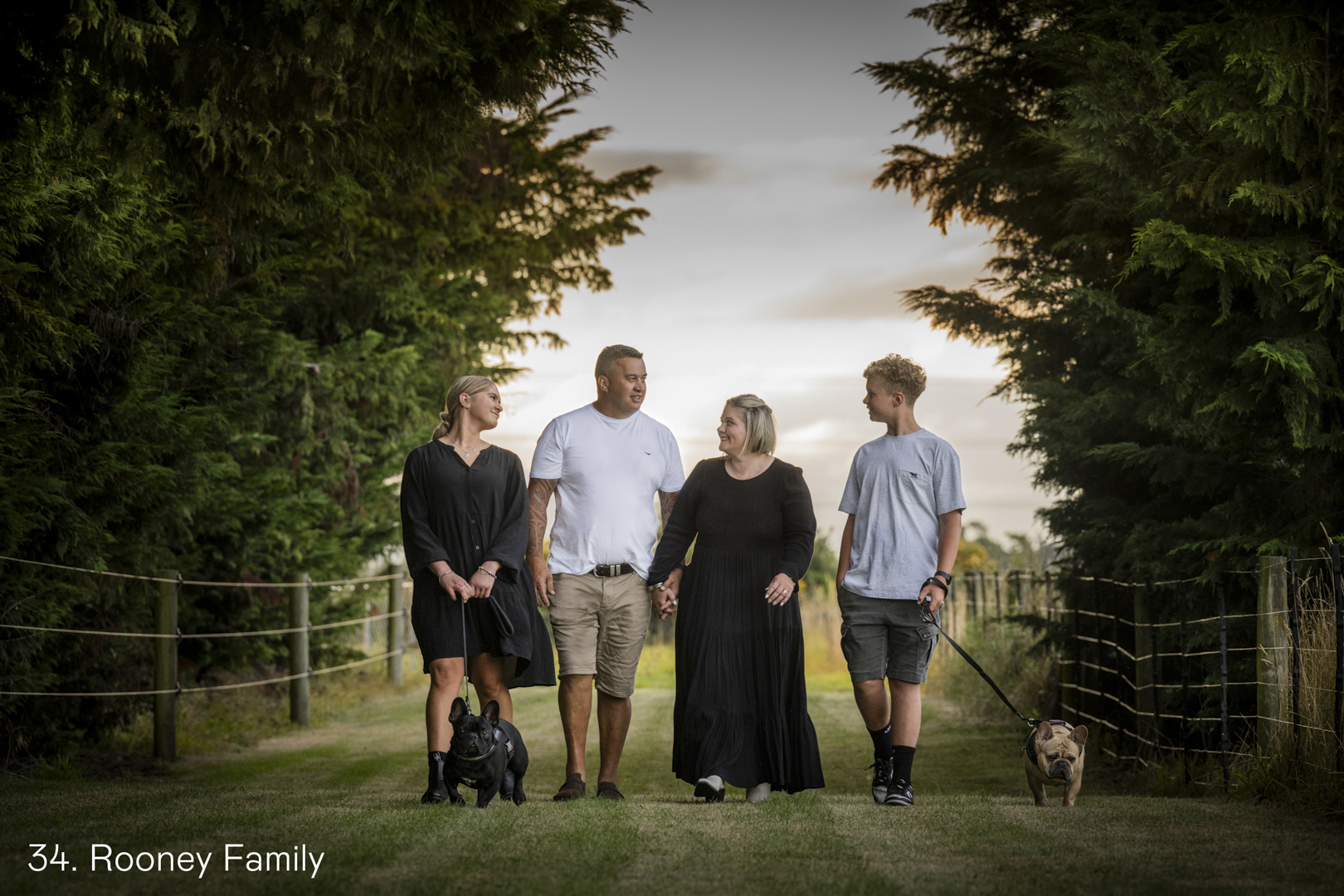 White Wolf Photo Gallery Image