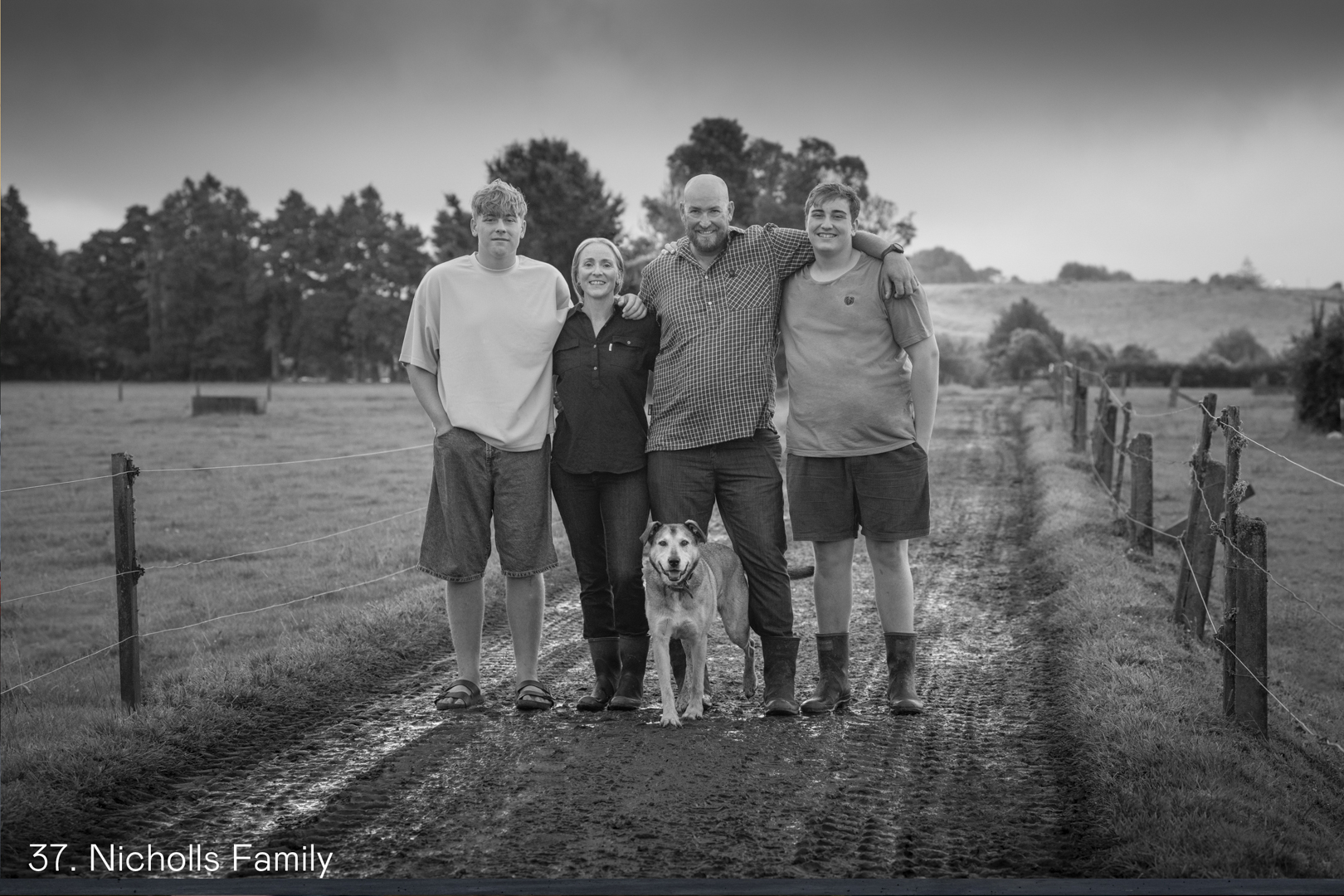 White Wolf Photo Gallery Image