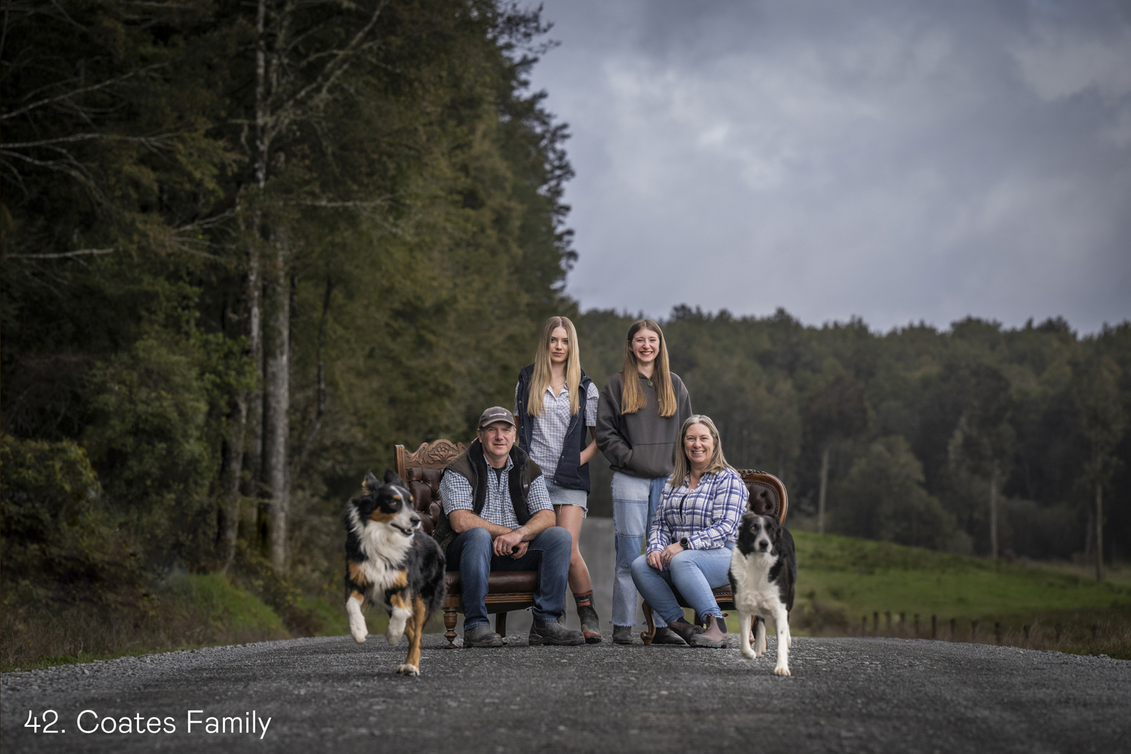 White Wolf Photo Gallery Image