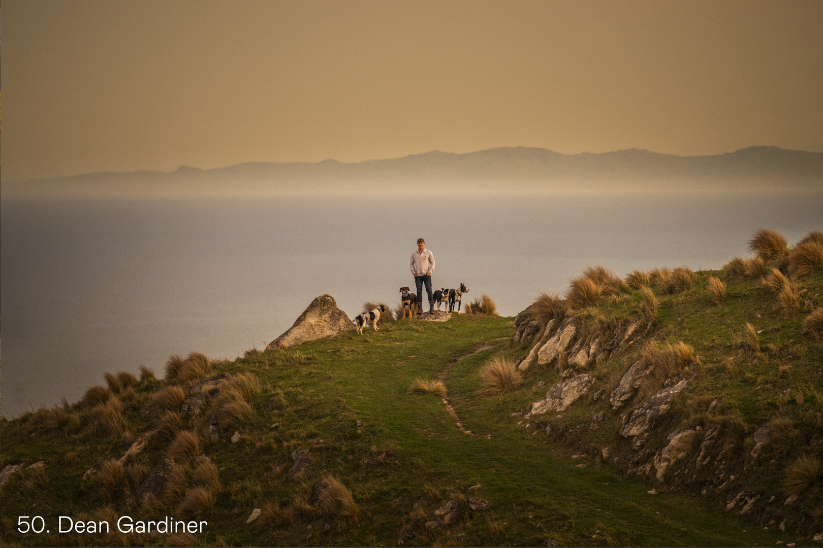 White Wolf Photo Gallery Image