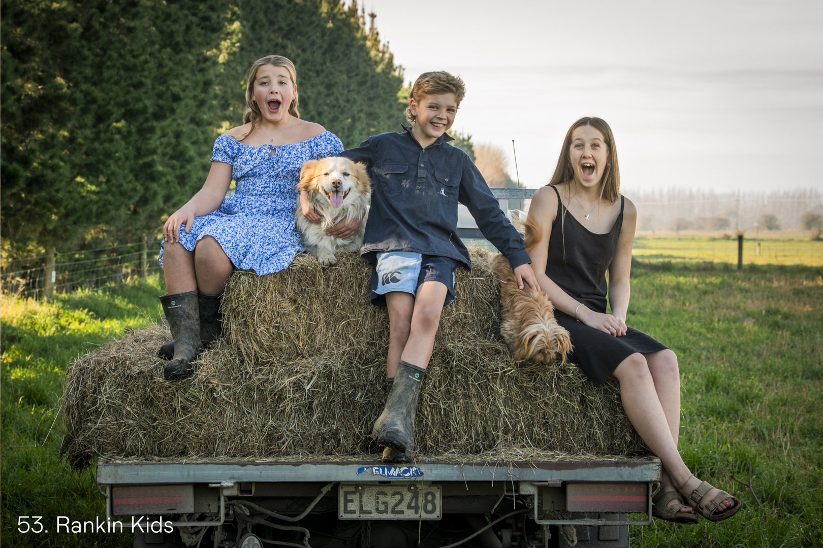 White Wolf Photo Gallery Image