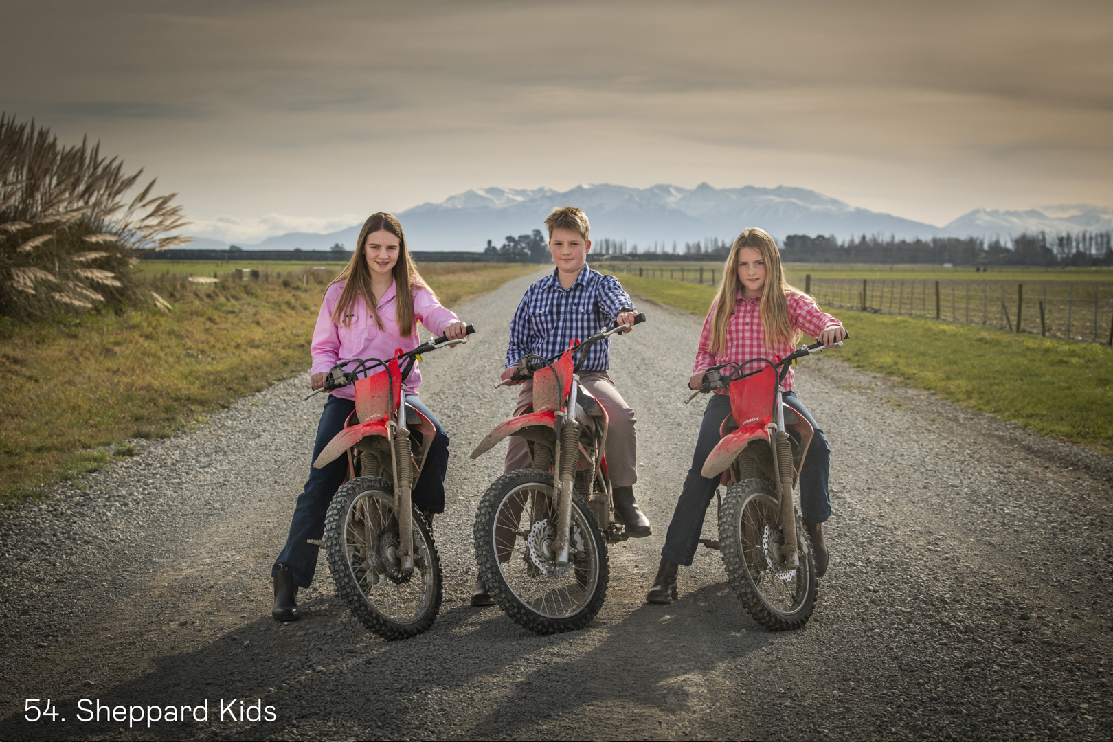 White Wolf Photo Gallery Image