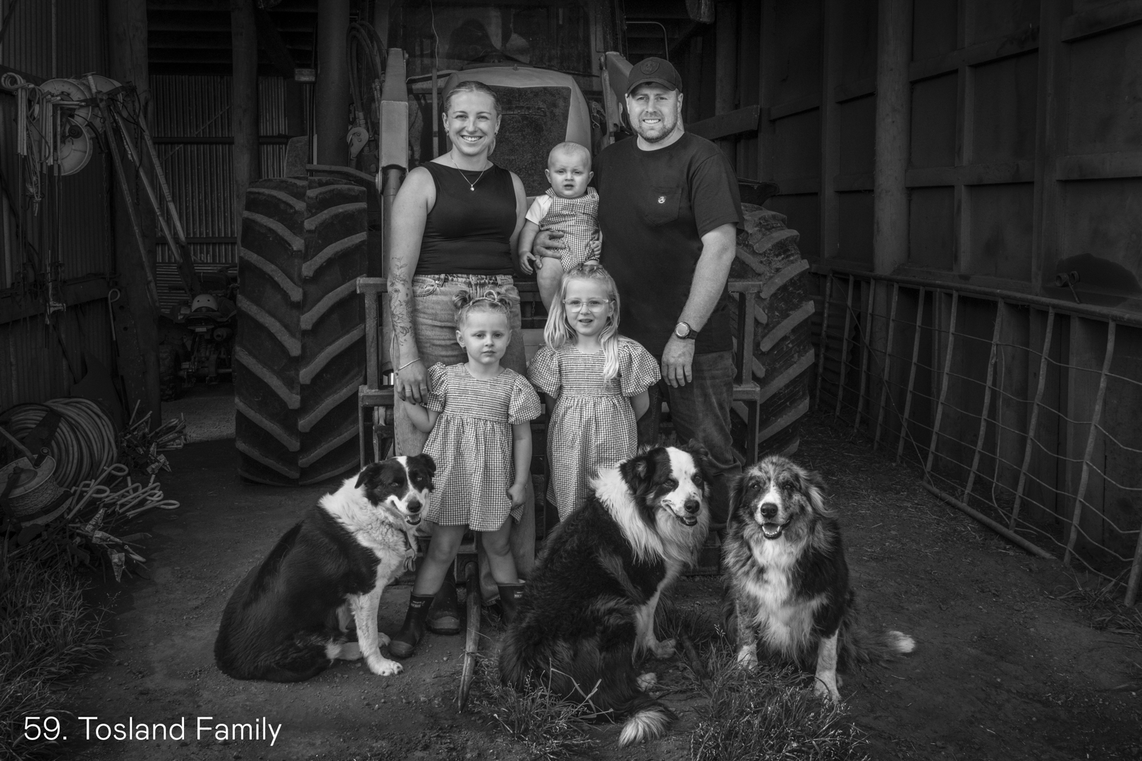 White Wolf Photo Gallery Image