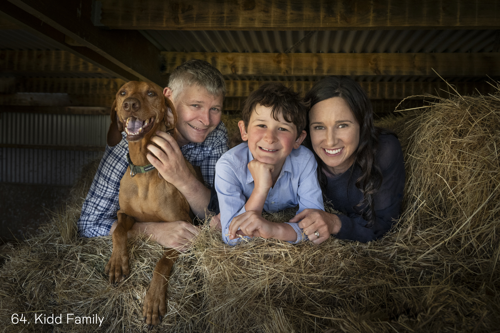 White Wolf Photo Gallery Image