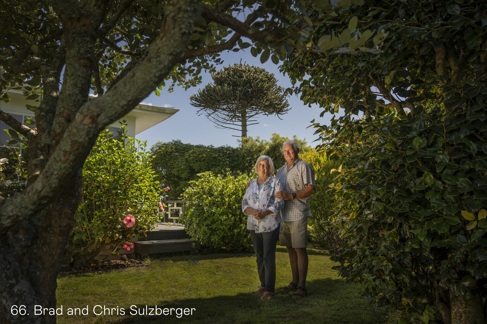 White Wolf Photo Gallery Image