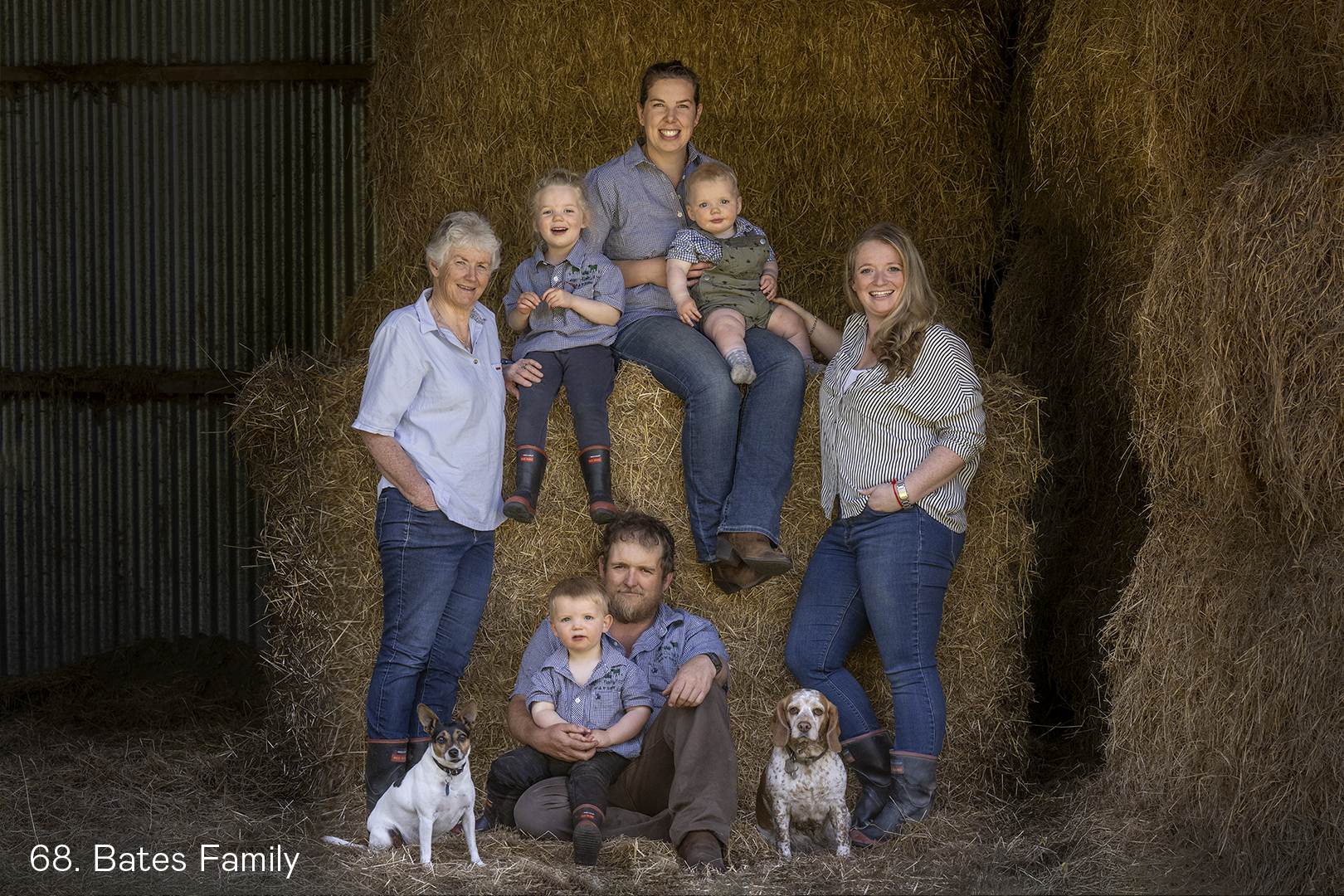 White Wolf Photo Gallery Image