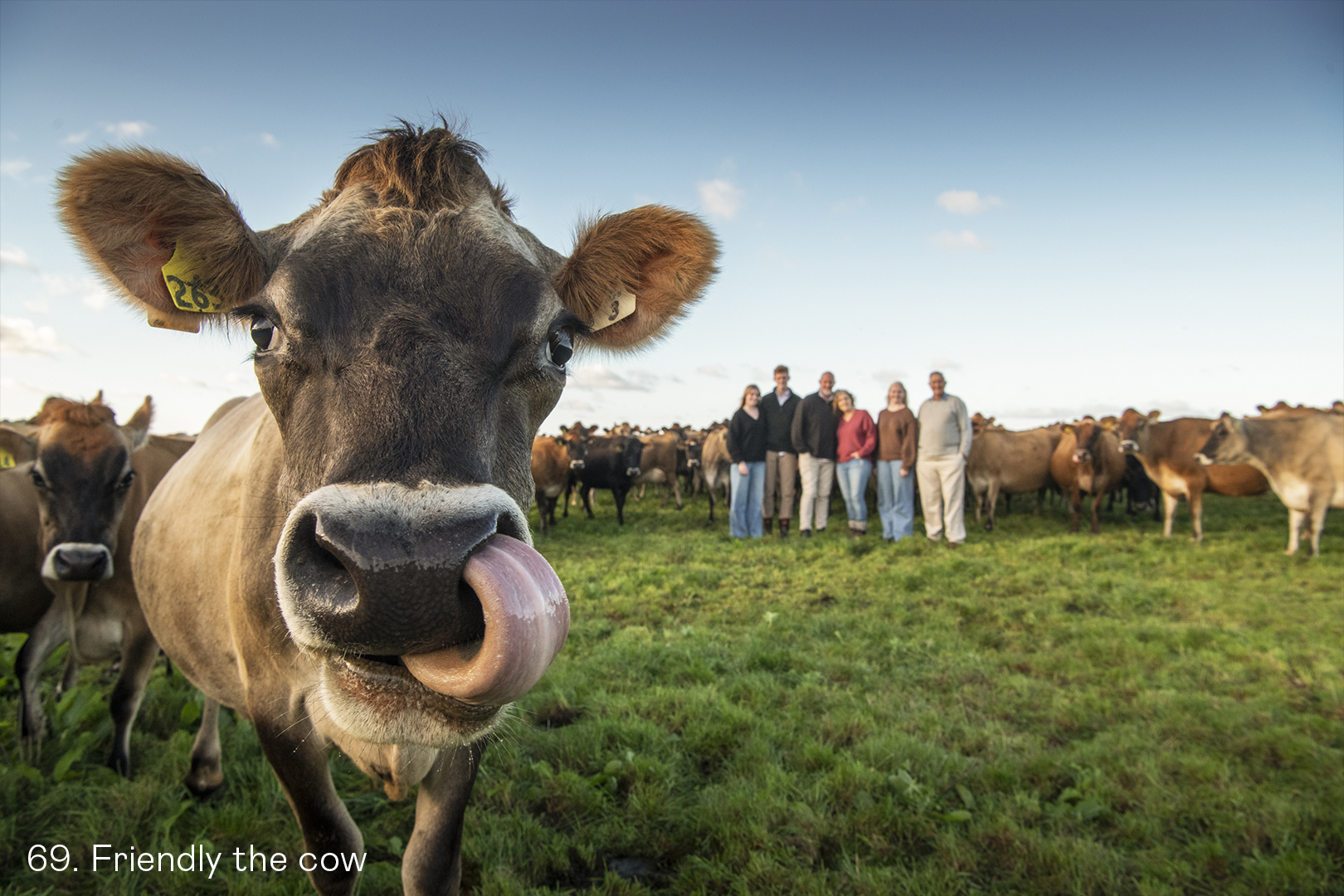 White Wolf Photo Gallery Image